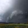 Starker Regen und Windböen: Verletzte bei Unwetter - Bäume auf Gleisen und Autos