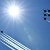 Une Américaine attaque en justice la patrouille aérienne « Blue Angels » après la mort de son chat
