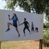 Deauville Sport images festival : 42 fonctionnaires se mettent en scène sur des photographies