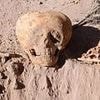 Scientists are BAFFLED by a mysterious deformed skull discovered in Argentina - as some claim it could be so-called 'ANTMEN'