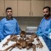 'This will be the work of years': The medics identifying remains from Syria's mass graves