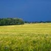 Wetter: Wechselhafter Start ins Wochenende in Berlin und Brandenburg