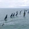 Solitaire du Figaro. Le parcours de la première étape va être modifié