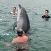 Marine experts issue worrying update about playful dolphin that joined family for swim in Dorset