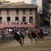 Qu’est-ce que le Palio de Sienne, cette folle course de chevaux où tous les coups sont permis ?
