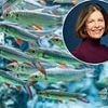Bank a tidy profit by swerving the Big Four: Our shares guru's expert advice on the smaller fish financial firms to invest in - including one that's up 80% since she first tipped it two years ago