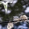 Tesla nach Regenguss Schrott: Fahrer trifft bei den Kosten der Schlag