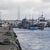Disabled man killed himself by driving his motorised wheelchair over harbour wall and into the sea in front of stunned passers-by, inquest hears