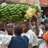 Tanzania bans South Africa and Malawi imports as trade row escalates