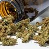 Drogenrazzia in Dresden und Berlin: Bis zu 140 Kilogramm Marihuana beschafft – vier Männer in U-Haft
