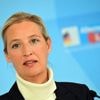 Le parti d'extrême droite allemand AfD porte plainte après avoir été classé "extrémiste"