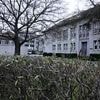 Pater Mertes hält Festrede: Das Canisius-Kolleg in Berlin feiert 100-jähriges Bestehen