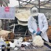 Dierenarts Ayed ziet elke dag hoe dieren lijden onder het geweld in Gaza