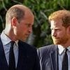 Were these the last words Prince Harry and William will EVER speak to each other as they go their separate ways?