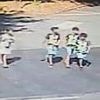 The three boys and a little girl aged 11-13... who have been arrested for fatal hit-and-run in a stolen car that left 71-year-old woman dying as they fled to nearby Roma camp