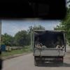 Ukraine-Invasion, Tag 1211: Wie ukrainische Deserteure einer Haftstrafe entgehen können