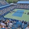 REPORTAGE. "Elle incarne parfaitement l'idée que rien n'est impossible" : à 45 ans, Venus Williams de retour sur les courts de tennis à l'ATP de Washington