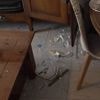 Marseille : un tir de mortier dévaste l'appartement d'une nonagénaire