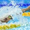 VIDEO. Mondiaux de natation : Yohann Ndoye-Brouard s'offre une belle médaille de bronze sur 100 m dos avec le record de France à la clé