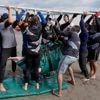 Endangered pink river dolphins face a rising mercury threat in the Amazon