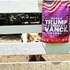 Airbnb host stunned after guest flees stunning farm at sight of Trump-Vance flag nailed to fence post