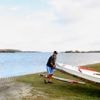 Het Veerse Meer zit vol met wier en kwallen uit Japan, en dat is geen goed nieuws
