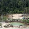 Un militant écologiste luttant contre la déprédation de l’Amazonie assassiné au Pérou