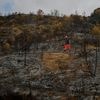Firefighters work to prevent reignition of France's largest wildfire