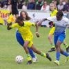 Football. Mondial pupilles de Plomelin : « S’ils reviennent, c’est qu’il y a une satisfaction »