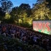 Die Magie von Open-Air-Kino : „Die Menschen sind einfach ein bisschen freier als Indoor“