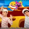 Baby Shark did not plagiarise, says South Korea's top court