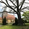 Die Toten vom 3. Mai 1945: Wie in Satzkorn der Zweite Weltkrieg endete