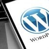 600.000 WordPress-Instanzen durch Lücke in Plug-in Forminator kompromittierbar