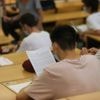 ¿Qué carreras son las que tienen más salida?