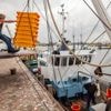 Garnalenvissers mogen nog twintig jaar door in natuurgebied, milieuclubs tekenen protest aan