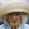 Camilla fought off attacker with shoe as teenager, book says