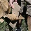 Voici l’étonnant procédé qui protège les récoltes de fruits en utilisant… des mouches stériles