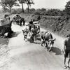 Le long exode des civils du Bocage virois qui ont dû fuir les combats en août 1944