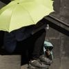 L'ONU prédit un réchauffement climatique de la planète de plus de 1,5°C pour les cinq prochaines années