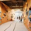 Nouvelle salle d’escalade à Angers : la date d’ouverture est désormais connue