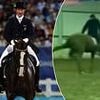 Sponsors drop Aussie Olympian Heath Ryan after horse whipping video goes viral - 'shocked and heartbroken'