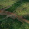 Au Brésil, la forêt amazonienne a été amputée d'une surface équivalente à l'Espagne en 40 ans