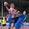 Handball. Face au Havre, le NHF joue gros