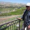 California avocado growers say Mexican imports have helped their sales