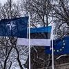 Estland wappnet sich für Angriff: "Auf russische Truppen würde jeder Baum schießen, mit oder ohne Nato"