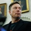 Musk lijkt politiek definitief vaarwel te zeggen: “Ga me weer 24/7 focussen op mijn bedrijven”