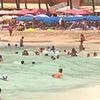 Shocking video shows swimmers and sunbathers IGNORING tsunami warning on Hawaii's Waikiki Beach