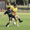 Football. Les Nantaises tenues en échec par Dijon en match de préparation
