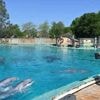 Cet été, vivez des moments enchanteurs dans l’un de ces trois parcs animaliers de l’Ouest
