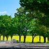 Gute Wetteraussichten für Berlin und Brandenburg: Sonne und bis zu 17 Grad - Nachtfrost möglich